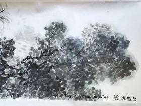 花鸟精品“山涧野趣”水墨淡彩画【尺寸】:138㎝X34.5㎝
附多幅效果图，作品未装裱！

作者介绍：施艺，字璞号玉，自由书画家。不容小觑的书画七零后，前途无量的画坛翘楚。作品最最低价，恕不议价，非诚勿扰。