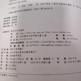 全国计算机技术与软件专业技术资格（水平）考试用书：电子商务设计师教程（第2版）