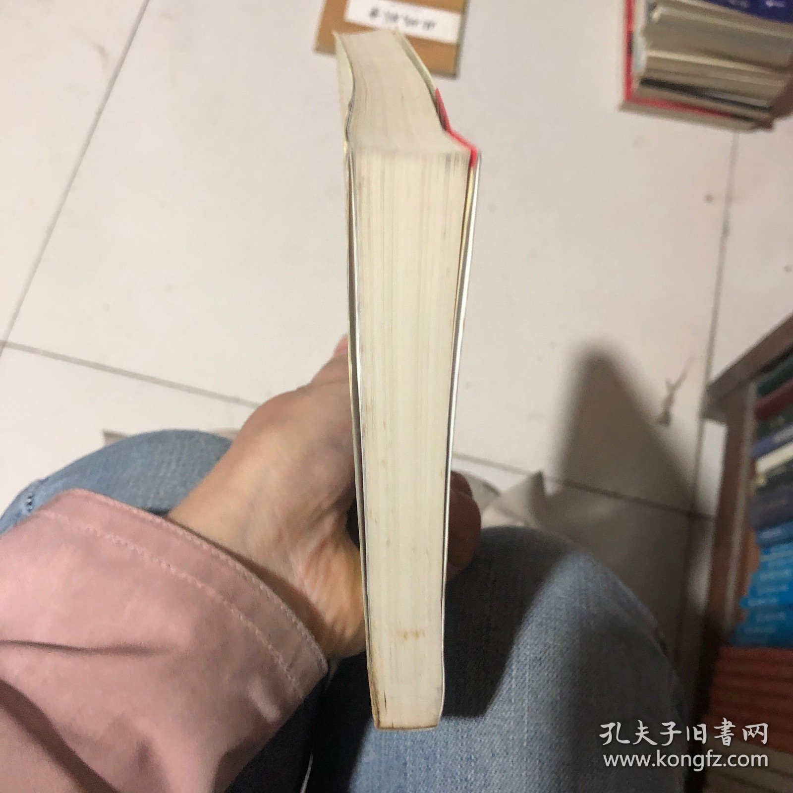 歧情:女律师情与罪探秘