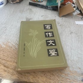 写作文鉴 下