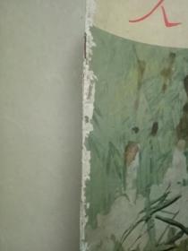 人民画报 1979 2【封面底和书脊边缘有点磨白破损，品一般】