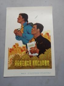 宣传画   朵朵葵花朝太阳 颗颗红心向着党  保真