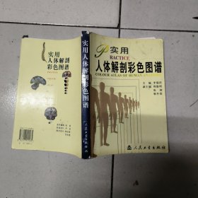 实用人体解剖彩色图谱