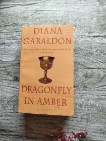 Dragonfly in Amber