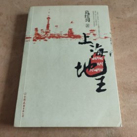 上海地王 ：(全国30多家报纸争相连载,上海滩神秘地产富豪戴志康强力推荐,揭示一代地王产生真相的超人气力作)