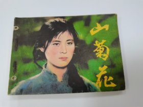 山菊花（倪萍主演）