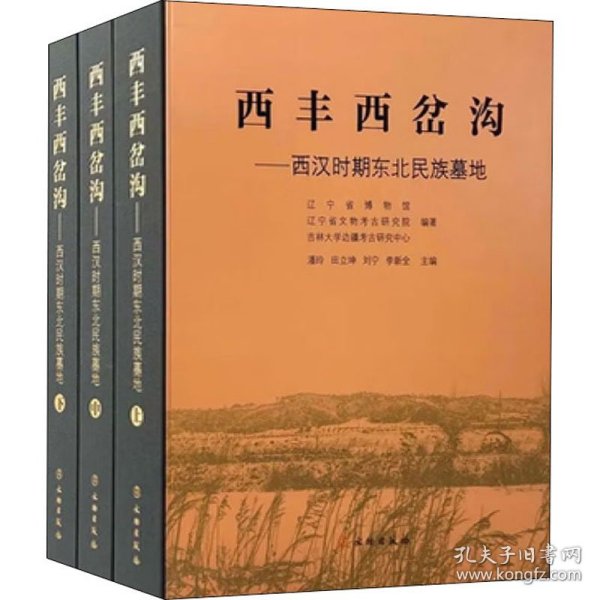 西丰西岔沟——西汉时期东北民族墓地(全3册)