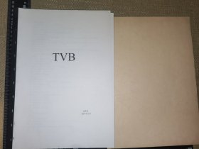 《自制打印的TVB旧演员、电视剧、光盘等信息资料册一本》（就这份）