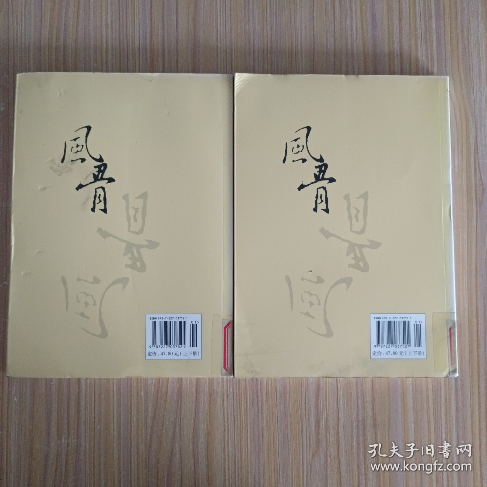 风骨（上、下）