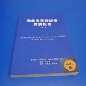 湖北省民营经济发展报告（2017）