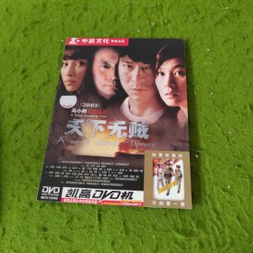 DVD 天下无贼