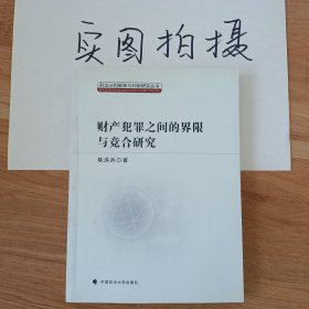 刑法分则解释与判例研究丛书：财产犯罪之间的界限与竞合研究