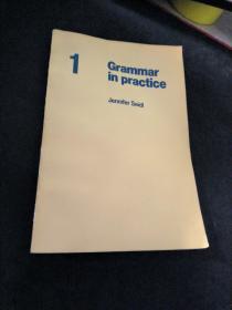grammar in practice 1
