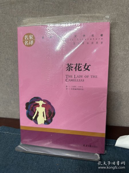 茶花女 中小学生课外阅读书籍世界经典文学名著青少年儿童文学读物故事书名家名译原汁原味读原著