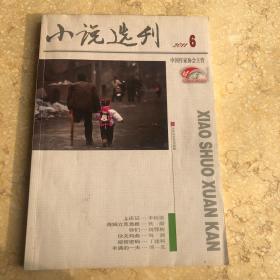 小说选刊 2011第6期