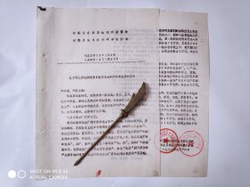 1987句容县环保局爱卫会关于申请解决城镇及乡镇自来水建设补助经费的报告1份