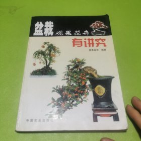 盆栽观果花卉有讲究