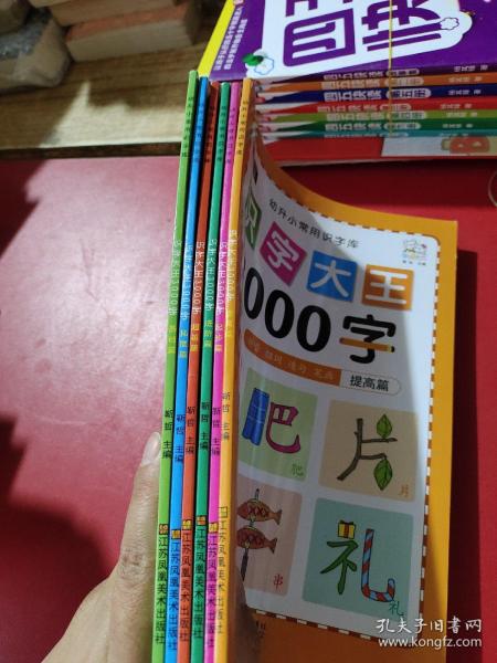 幼儿学前识字大王3000字全套6册 幼小衔接一日一练全套识字教材 幼儿园大班中班小班一年级3-4-5-6岁幼升小看图识字神器儿童启蒙早教认字书