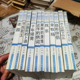 中国小说50强：迷园、寻找歌王、沙漏街的卜语、十年矮凳、正午的供词、破碎的激情、找乐、金牧场、隐形伴侣、男人还剩下什么、许茂和他的女儿们，11本合售