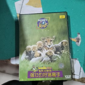 Discovery KIDS 橡胶动物园 Banana ZOO 中英文双语VCD 放光碟里