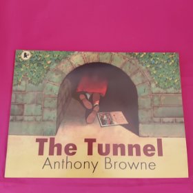 The Tunnel 安东尼布朗绘本:隧道