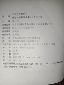 数学教师教学用书六年级下册 青岛出版社（有配套光盘）