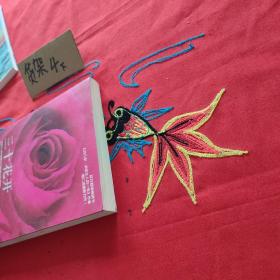 三十花开：30岁的女人书