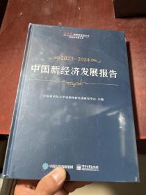 中国新经济发展报告2023—2024