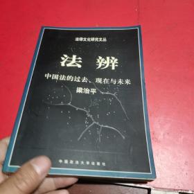 法辨：中国法的过去、现在与未来