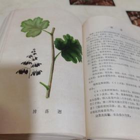 中草药学