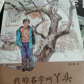 我的名字叫丫头刘玉栋长篇少年成长小说 精美插画儿童心灵成长培养阅读写作能力