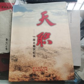 天职98湖北赈灾纪实