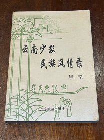 云南少数民族风情录（32开平装）