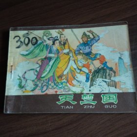 棕皮《西游记》之34 ：天竺国