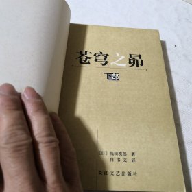 苍穹之昂（上.下）2册合售