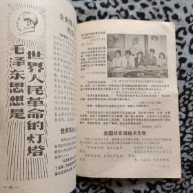 共青团员（1966年第12期）