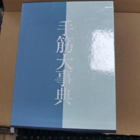 【日文原版书】手筋大事典 大十六开，精装带书匣