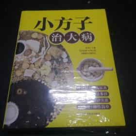 小方子治大病   中医书籍养生偏方大全民间老偏方美容养颜常见病防治 保健食疗偏方秘方大全小偏方老偏方中医健康养生保健疗法