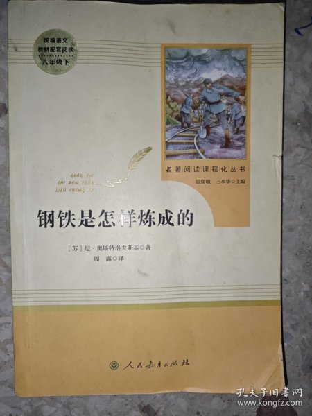 统编语文教材配套阅读 八年级下：钢铁是怎样炼成的/名著阅读课程化丛书