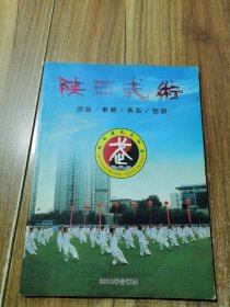 陕西武术 2010年合订本