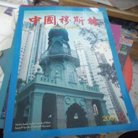 中国穆斯林2007.2.3.4.5