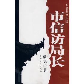 市信访局长 官场、职场小说 潘灵 著 新华正版