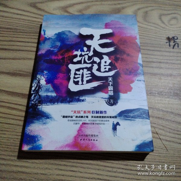 天坑追匪（天下霸唱“天坑”系列巨力新作！）