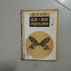 美术画典：昆虫爬虫两栖类动物。