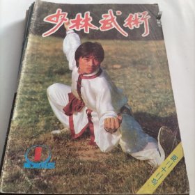 少林与太极，梅花桩，拼搏，武林精英，陈式太极拳，八方高手，少林拳，青龙拳，少林金狮拳，少林柔骨功，少林指功，太极拳专辑，太极拳推手，技击，太极桩，搏击术，防身术，武术知识，武术，宋代相扑，基本功，医疗保健，健身长寿，武坛，气功，自选拳，武林人物，燕青大侠，武坛艺苑，梅花拳，棍术