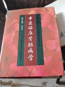 中医临床肾脏病学