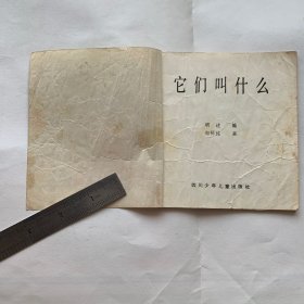 它们叫什么  （48开连环画 识图认字）