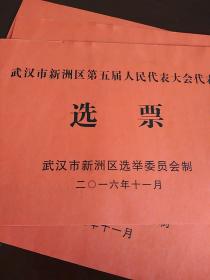 武汉市新洲区第五届人民代表大会代表选票