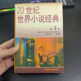 20世纪世界小说经典（第3卷）