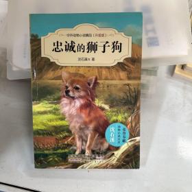 中外动物小说精品（升级版）：忠诚的狮子狗